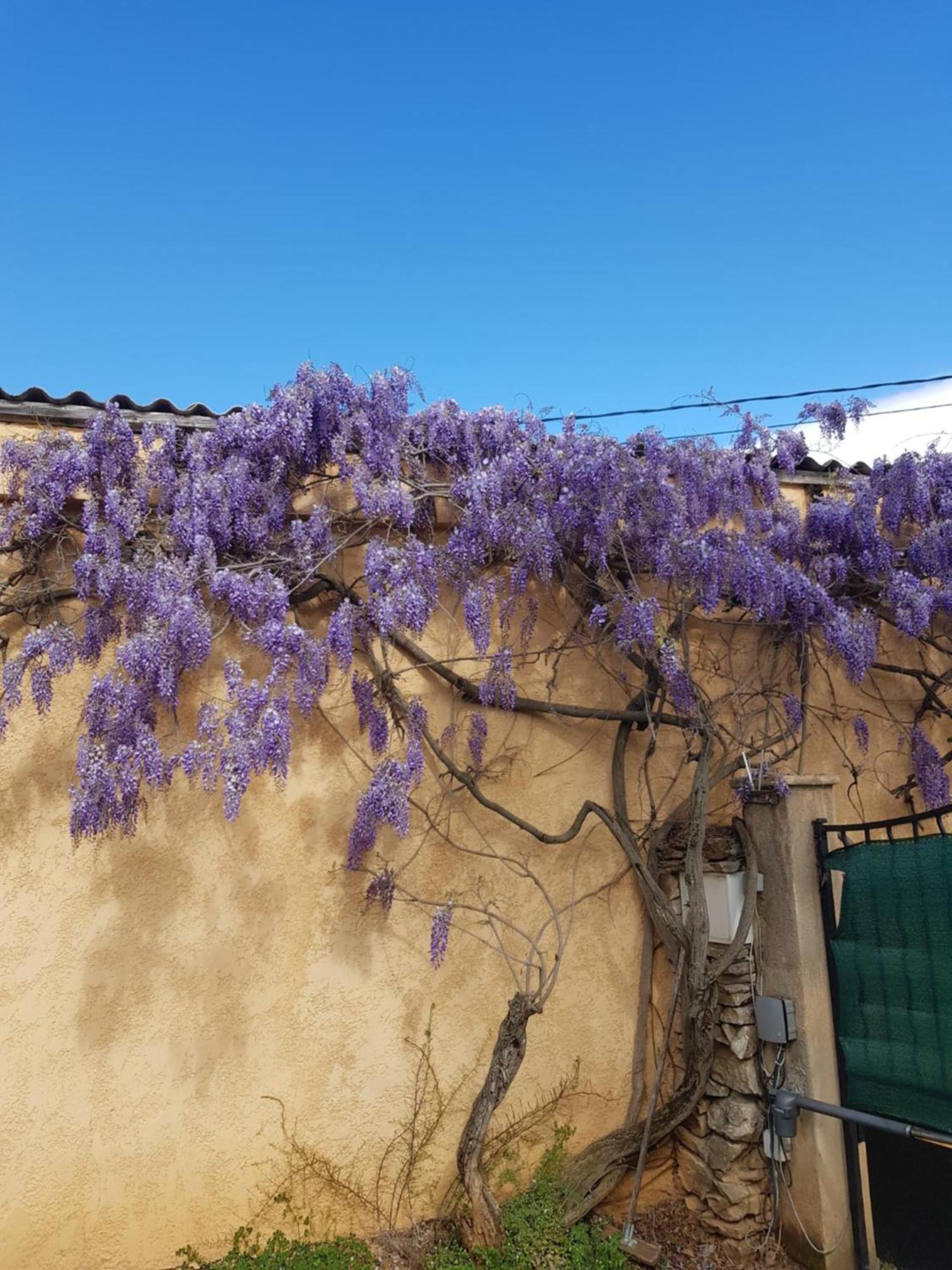 Cap Au Sud Sweet Home Nîmes Exterior foto
